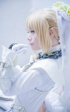 Ԫ-049 fate»_˿