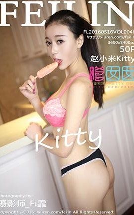 FeiLin No.040 СKitty_˿