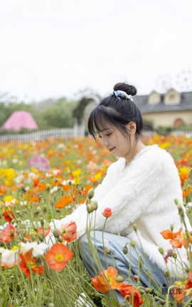 ����ӡ�� No.005 ����
